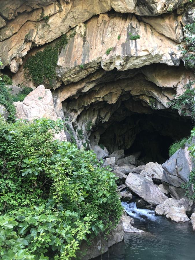 Casa Rural Leo&Manu Benaoján Εξωτερικό φωτογραφία